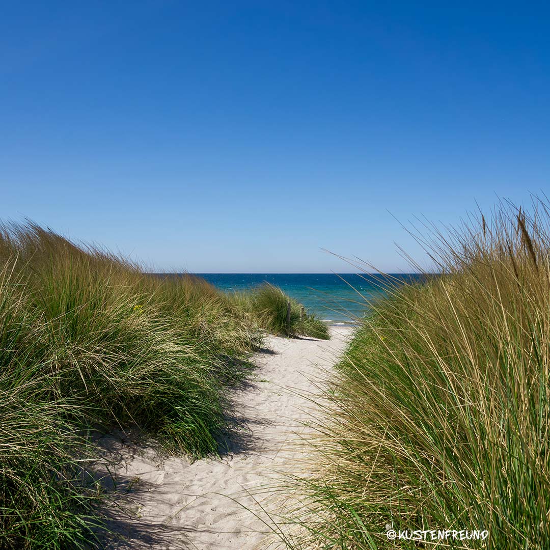 Ostsee Dünenbild