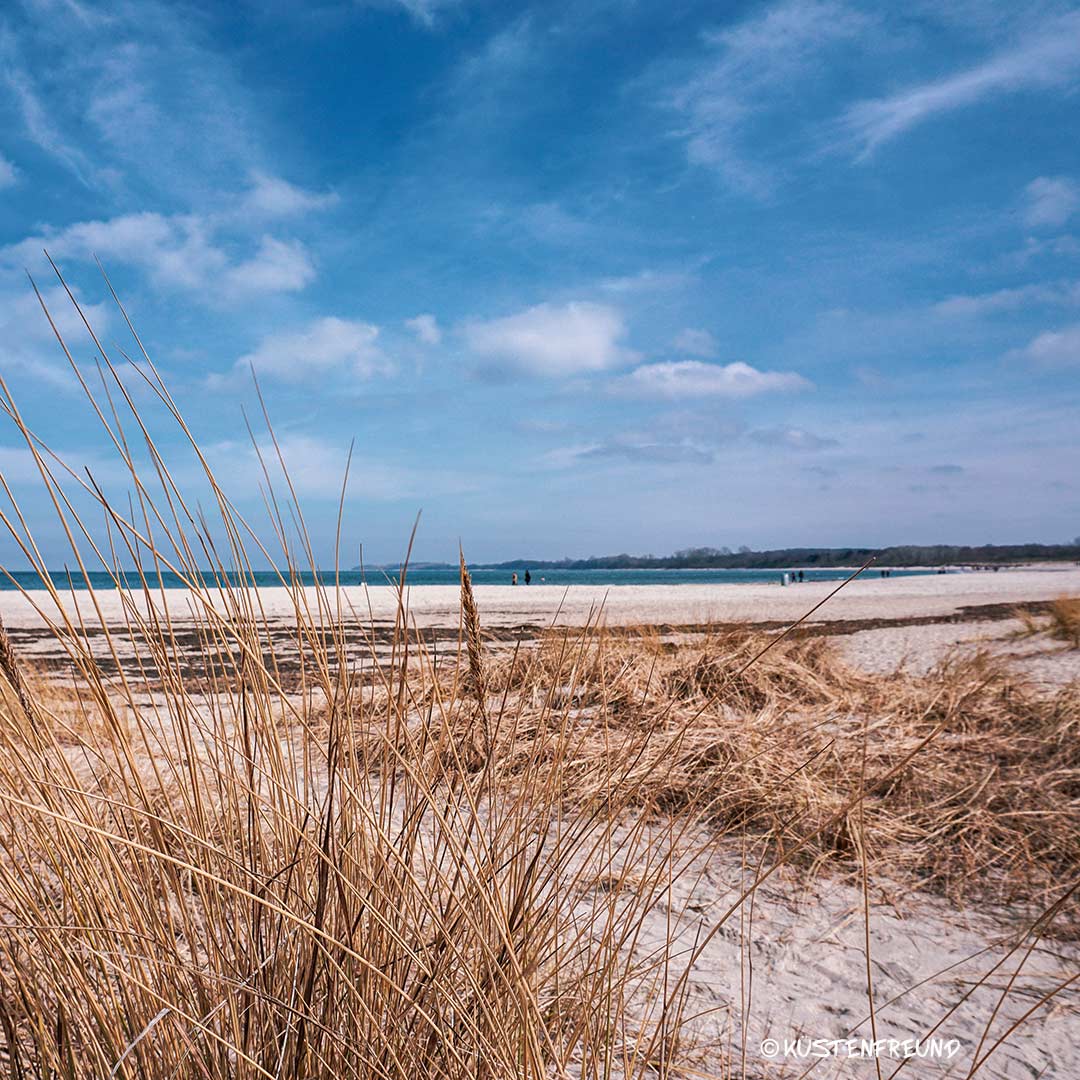 Sanfte Dünen am Priwall Strand