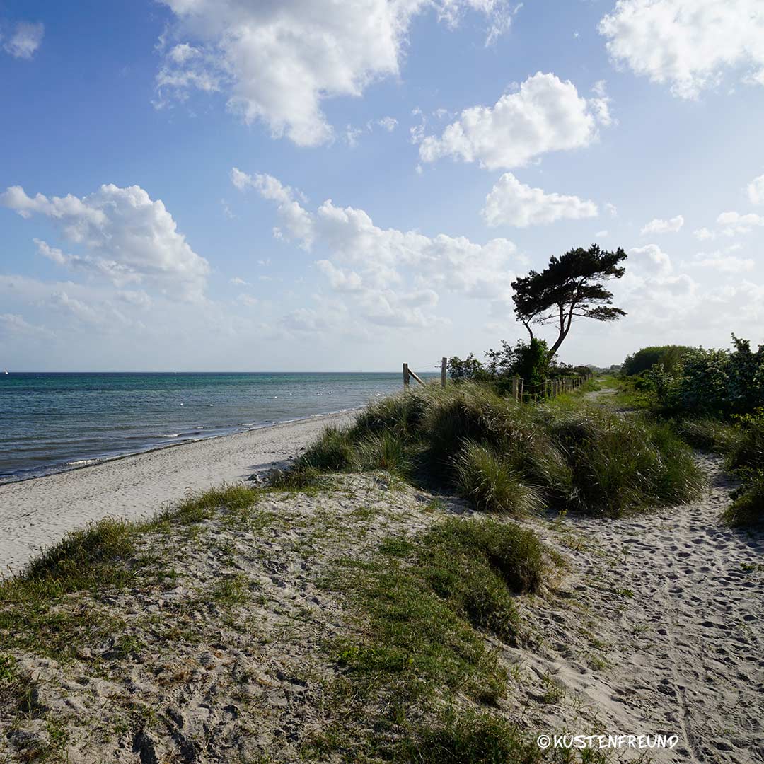 Naturstrand in der Nähe von Klostersee Schleuse
