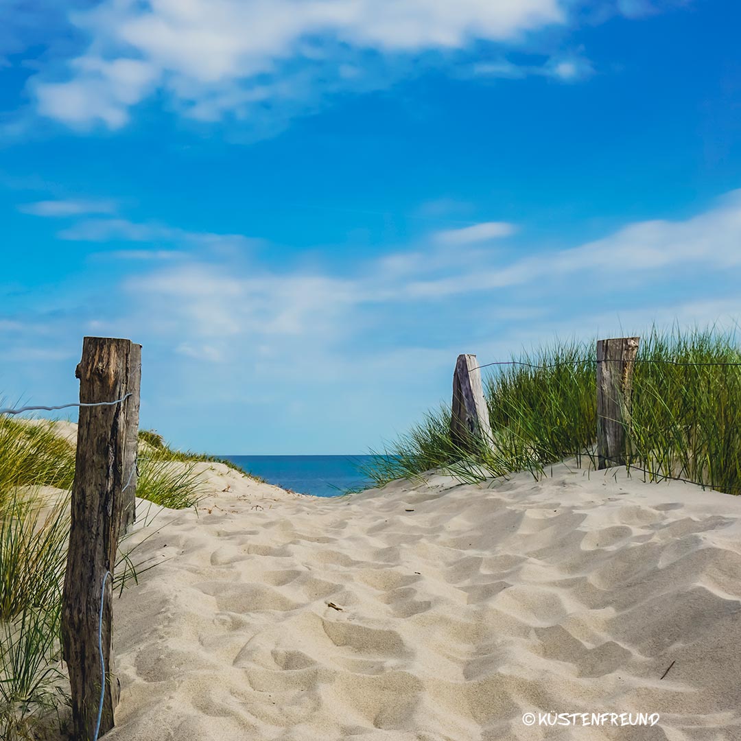 Dünenbild Ostsee von Küstenfreund im Küstenfreund Shop