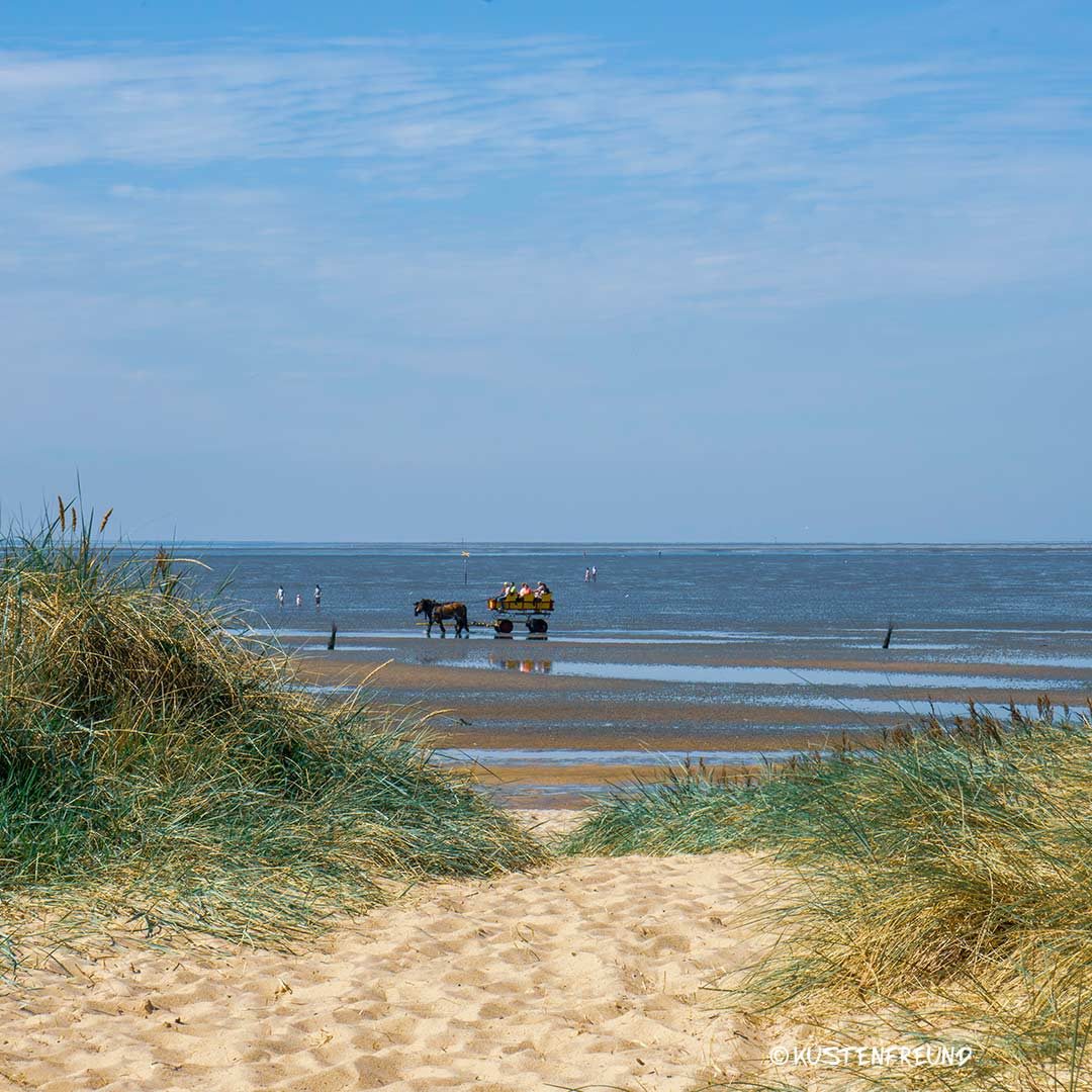 Düne in Sahlenburg - Cuxhaven