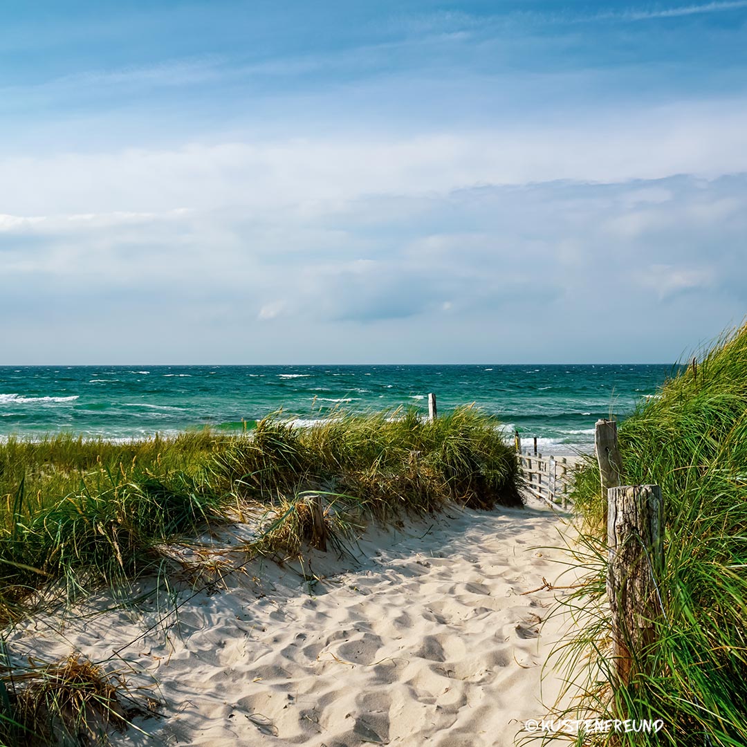 Schöne Ostsee Bilder // KÜSTENFREUND SHOP Ostseedünen auf dem Darß