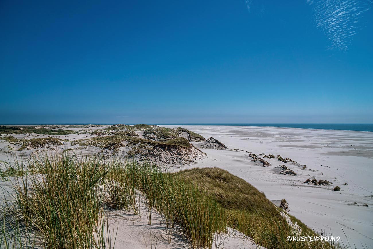 Schallschluckende Wandbilder von der Nordsee Schallschluckendes Wandbild mit Blick von den höchsten Dünen Amrums auf den weiten Kniep an der Nordsee.
