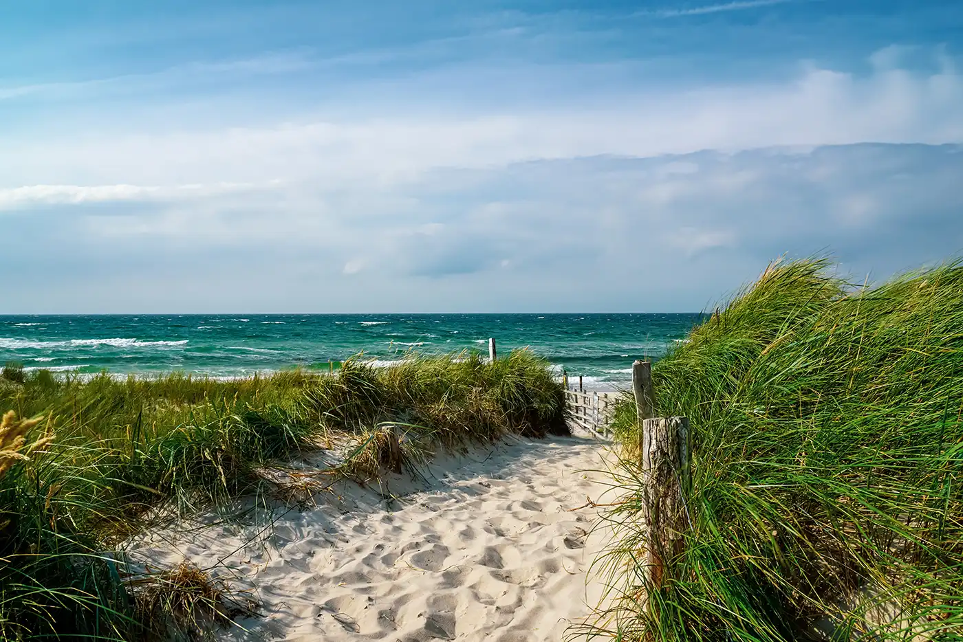 Wilde Dünen im leichten Wind an der Küste des Darß mit Blick auf die Ostsee.